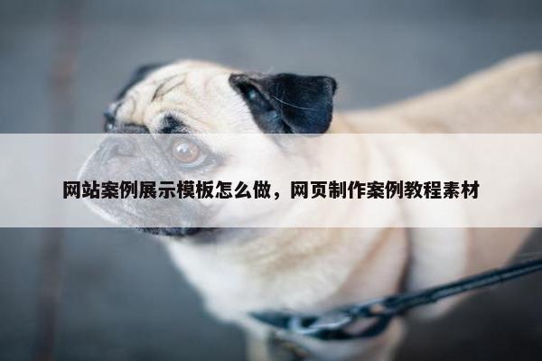网站案例展示模板怎么做，网页制作案例教程素材