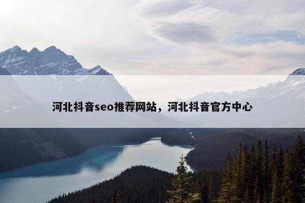 河北抖音seo推荐网站，河北抖音官方中心