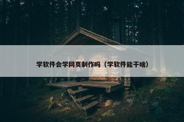 学软件会学网页制作吗（学软件能干啥）