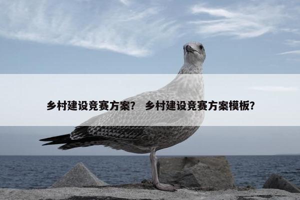 乡村建设竞赛方案？ 乡村建设竞赛方案模板？