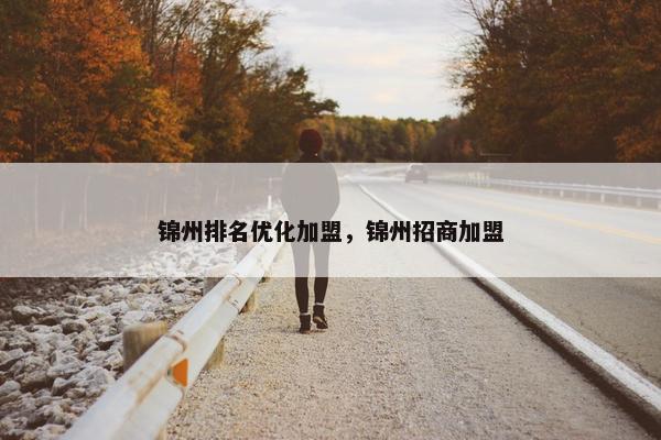 锦州排名优化加盟，锦州招商加盟