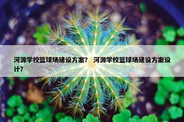 河源学校篮球场建设方案？ 河源学校篮球场建设方案设计？