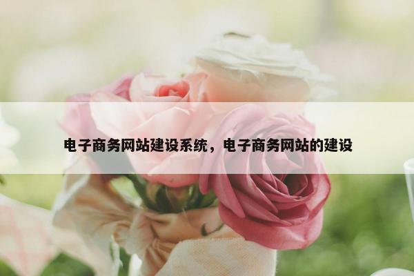 电子商务网站建设系统，电子商务网站的建设