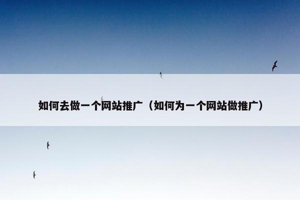 如何去做一个网站推广（如何为一个网站做推广）