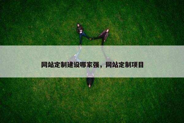网站定制建设哪家强，网站定制项目