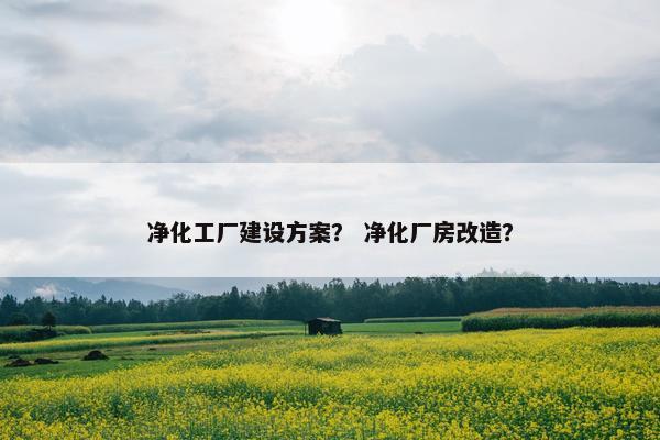 净化工厂建设方案？ 净化厂房改造？