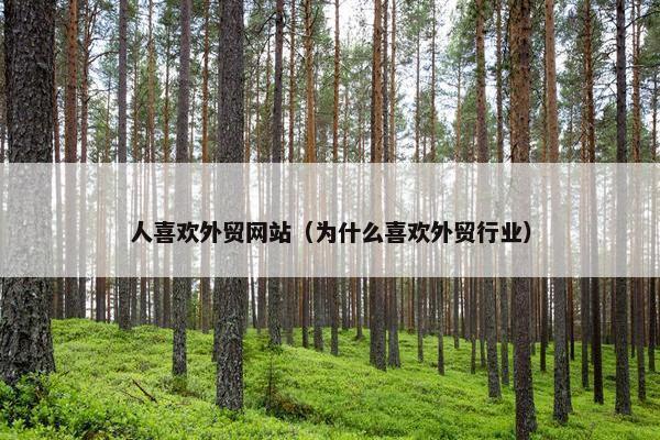 人喜欢外贸网站（为什么喜欢外贸行业）
