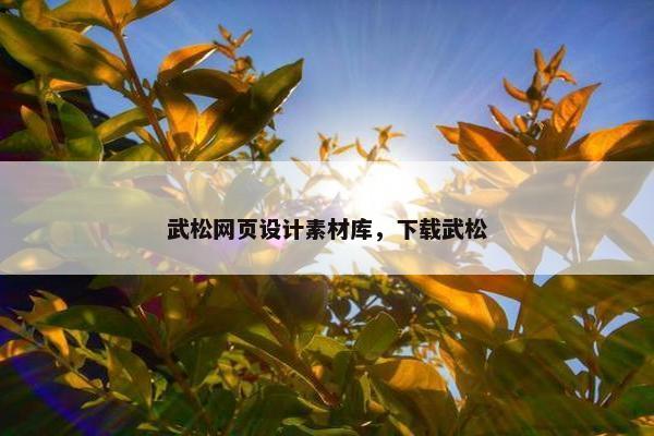 武松网页设计素材库，下载武松