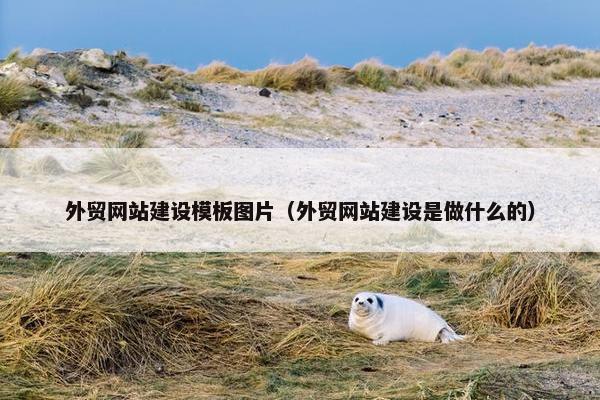 外贸网站建设模板图片（外贸网站建设是做什么的）