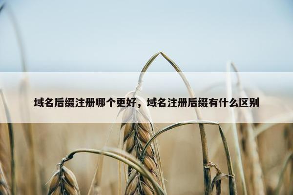 域名后缀注册哪个更好，域名注册后缀有什么区别