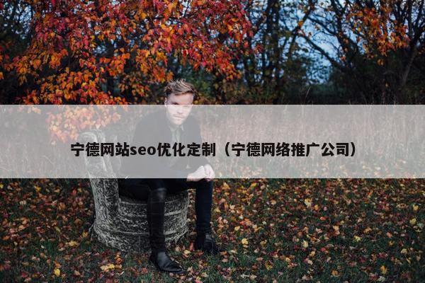 宁德网站seo优化定制（宁德网络推广公司）