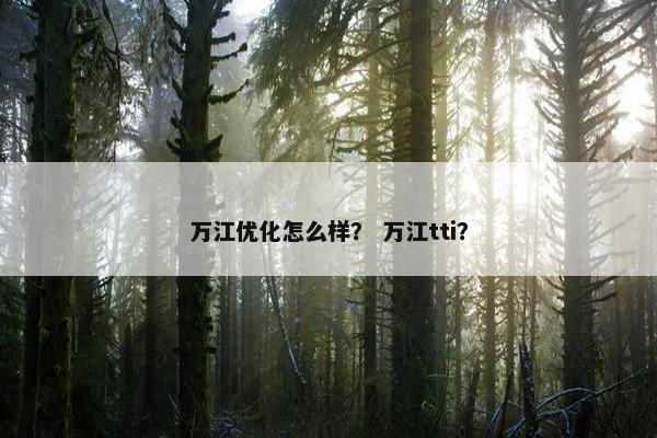 万江优化怎么样？ 万江tti？