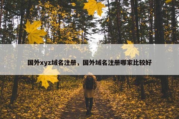 国外xyz域名注册，国外域名注册哪家比较好