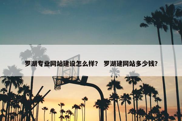 罗湖专业网站建设怎么样？ 罗湖建网站多少钱？