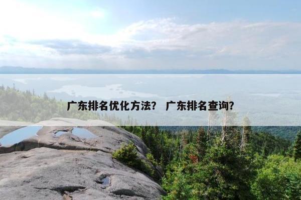 广东排名优化方法？ 广东排名查询？