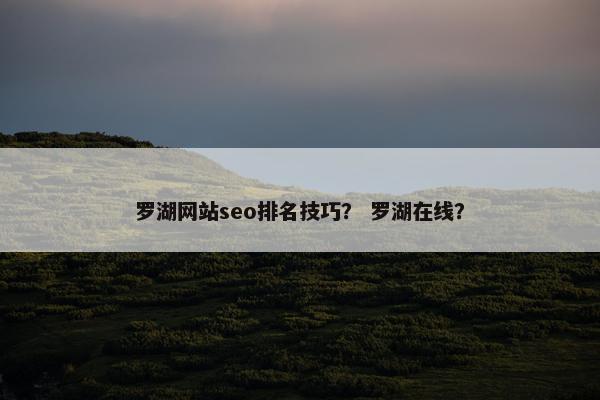 罗湖网站seo排名技巧？ 罗湖在线？