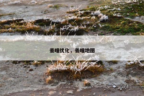 姜疃优化，姜疃地图