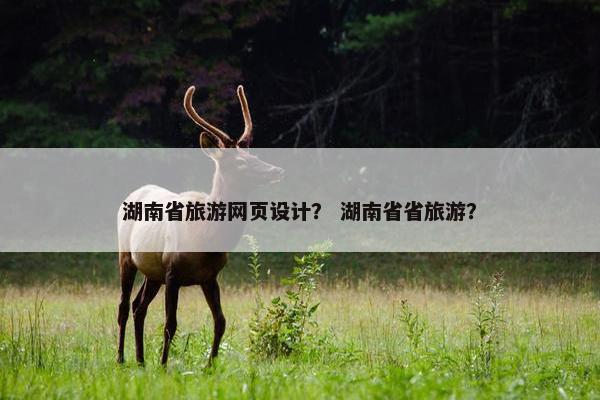 湖南省旅游网页设计？ 湖南省省旅游？