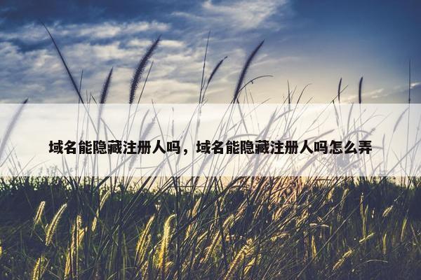 域名能隐藏注册人吗，域名能隐藏注册人吗怎么弄