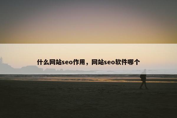 什么网站seo作用，网站seo软件哪个