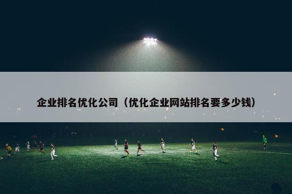 企业排名优化公司（优化企业网站排名要多少钱）