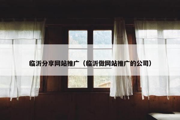 临沂分享网站推广（临沂做网站推广的公司）