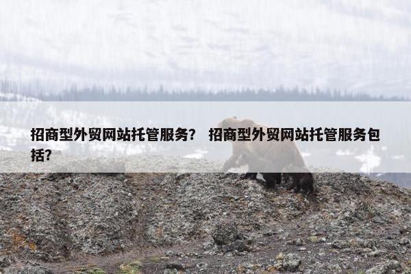 招商型外贸网站托管服务？ 招商型外贸网站托管服务包括？