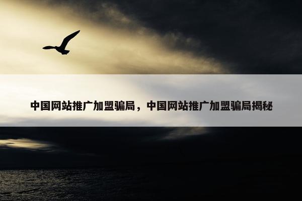 中国网站推广加盟骗局，中国网站推广加盟骗局揭秘