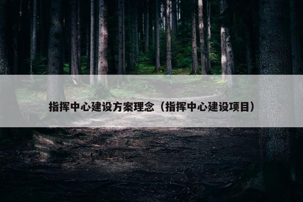 指挥中心建设方案理念（指挥中心建设项目）
