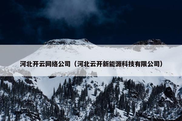 河北开云网络公司（河北云开新能源科技有限公司）