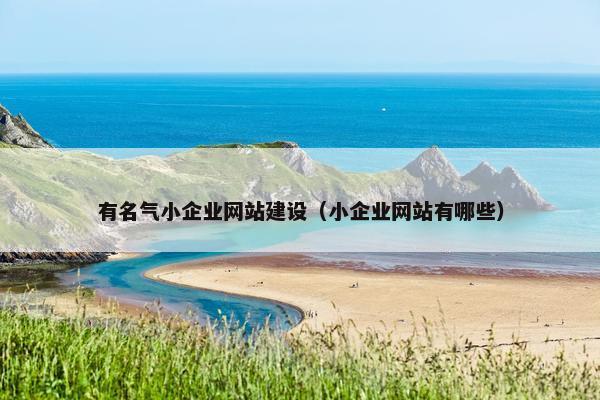 有名气小企业网站建设（小企业网站有哪些）