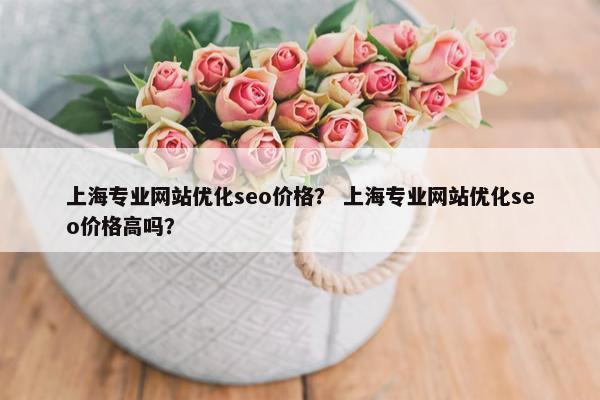 上海专业网站优化seo价格？ 上海专业网站优化seo价格高吗？