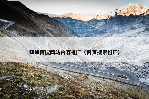 知如何搜网站内容推广（网页搜索推广）