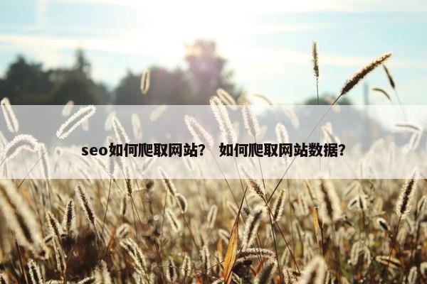 seo如何爬取网站？ 如何爬取网站数据？