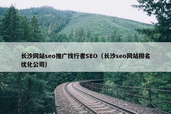 长沙网站seo推广找行者SEO（长沙seo网站排名优化公司）
