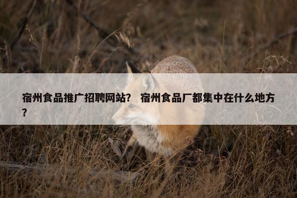宿州食品推广招聘网站？ 宿州食品厂都集中在什么地方？