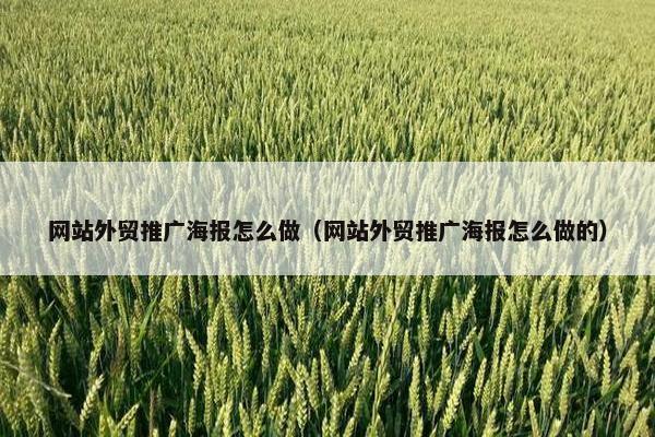 网站外贸推广海报怎么做（网站外贸推广海报怎么做的）