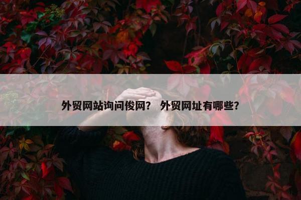 外贸网站询问俊网？ 外贸网址有哪些？