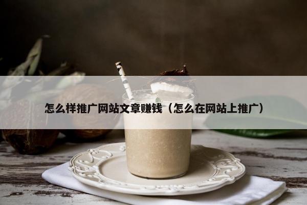 怎么样推广网站文章赚钱（怎么在网站上推广）
