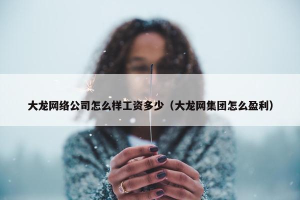 大龙网络公司怎么样工资多少（大龙网集团怎么盈利）