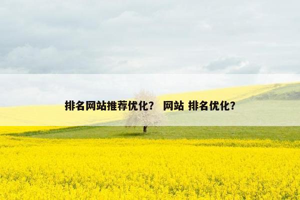 排名网站推荐优化？ 网站 排名优化？