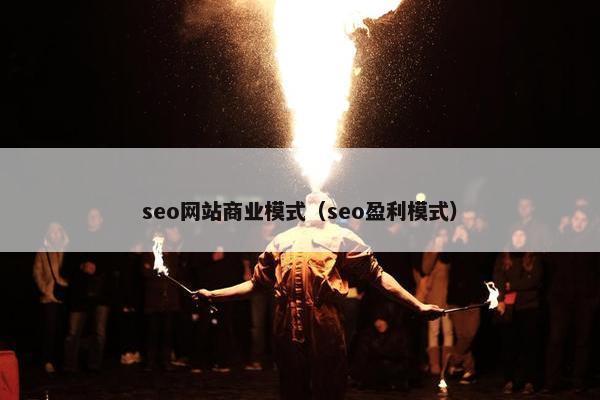 seo网站商业模式（seo盈利模式）