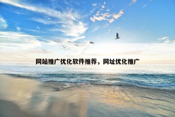 网站推广优化软件推荐，网址优化推广