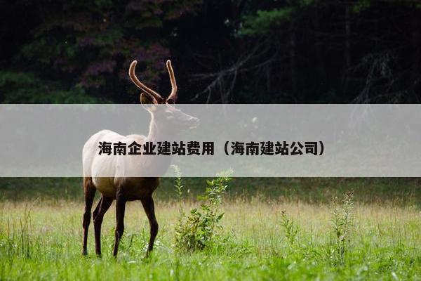 海南企业建站费用（海南建站公司）