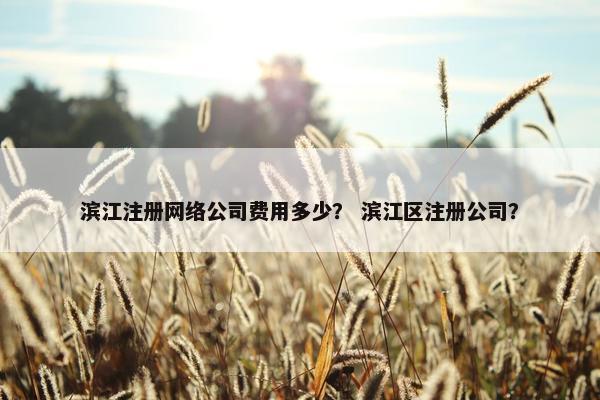 滨江注册网络公司费用多少？ 滨江区注册公司？