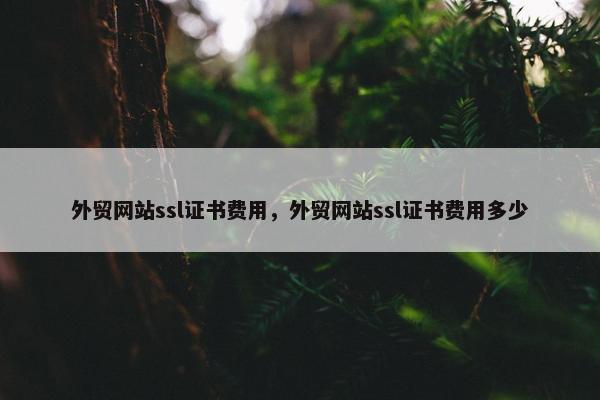 外贸网站ssl证书费用，外贸网站ssl证书费用多少