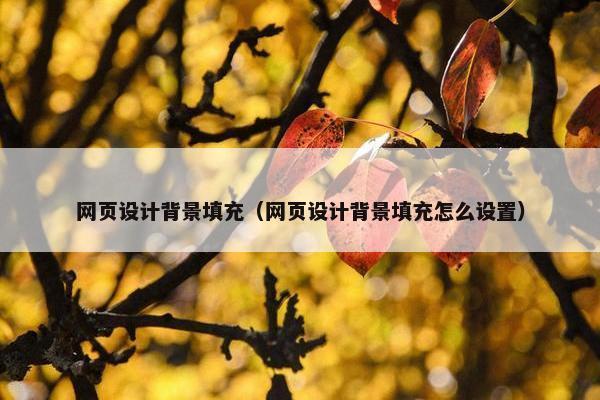网页设计背景填充（网页设计背景填充怎么设置）