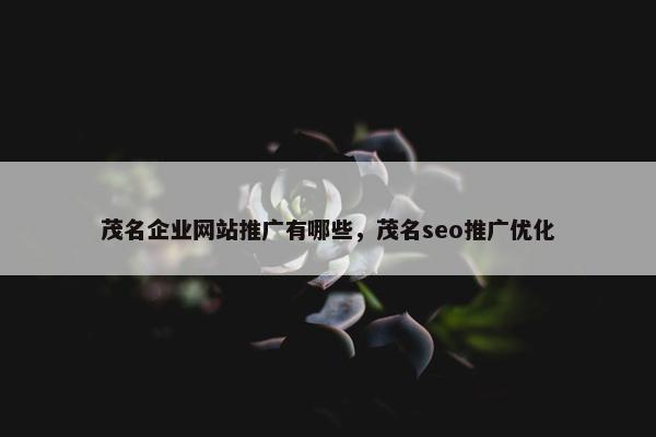 茂名企业网站推广有哪些，茂名seo推广优化