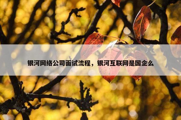银河网络公司面试流程，银河互联网是国企么