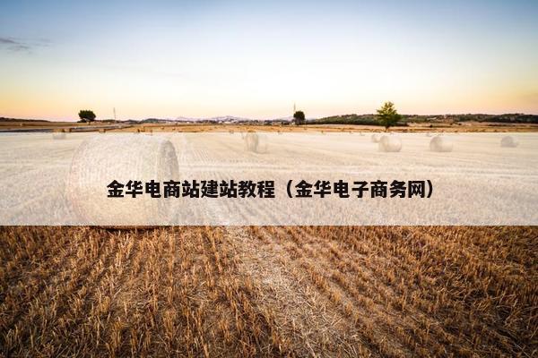金华电商站建站教程（金华电子商务网）